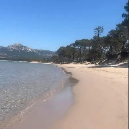 Leo Calvi (Corsica)